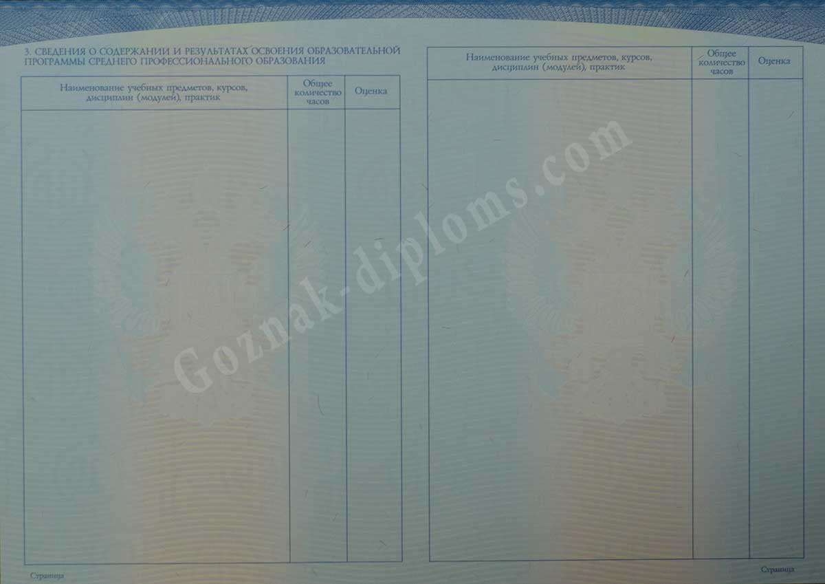 Диплом техникума или колледжа 2014-2026